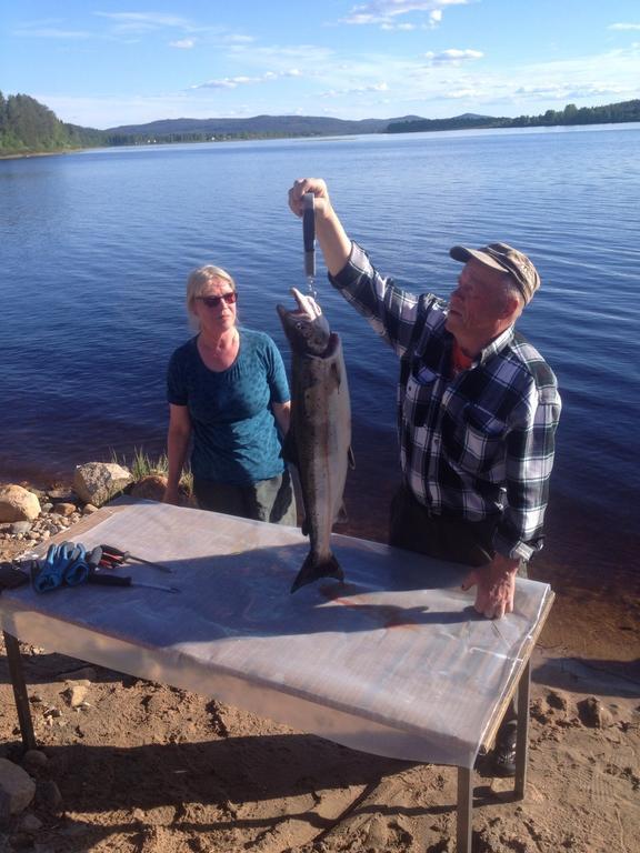 Arctic Camping Finland Ξενοδοχείο Pello Εξωτερικό φωτογραφία